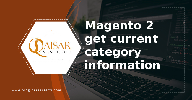 Magento 2 get current category information